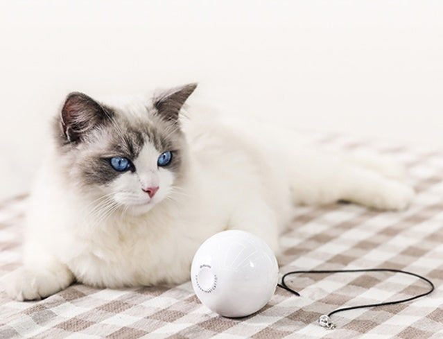 Smart Automatic Interactive Cat Toy Ball