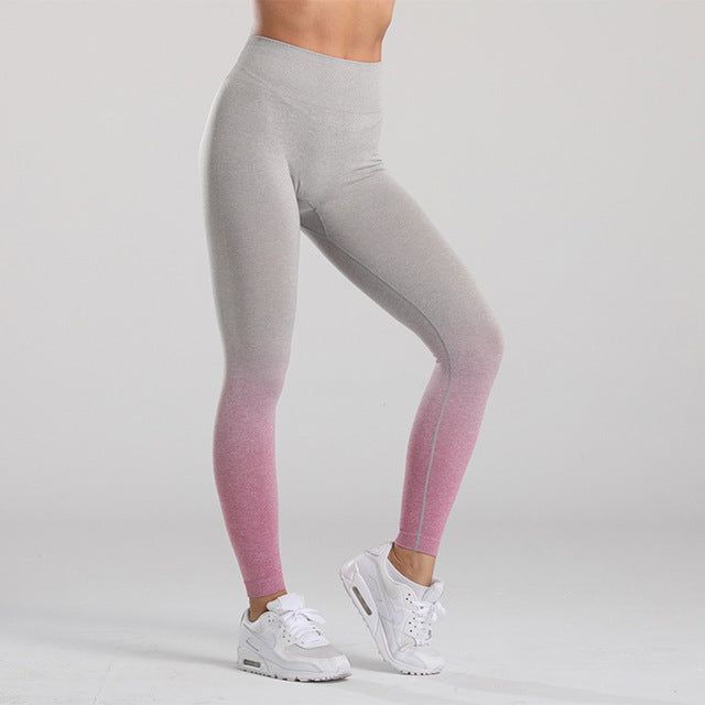 Women Gym Yoga Seamless Pants Sports Clothes: Stay Stylish and Comfortable During Your Workout