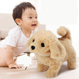 Electric Plush Animal Toys for Kids - Corgi, Teddy Bear, Bunny