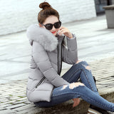 Korean Style Hooded Down Padded Jacket All-Match Small Cotton Jacket