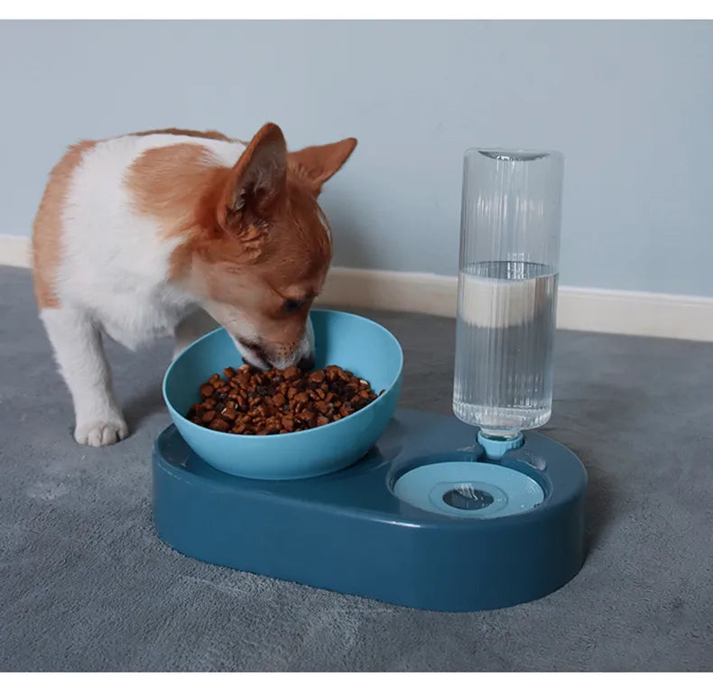 Automatic Pet Water Fountain - Double Bowl for Dogs & Cats - Minihomy