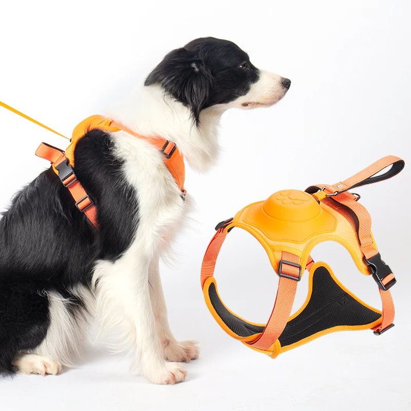 Explosion-Proof Dog Collar Harness with Retractable Leash - Safe and Adjustable - Minihomy