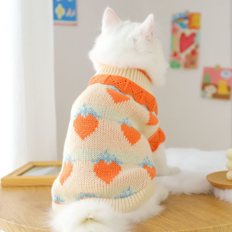 Cat Clothes For Fall Kittens To Prevent Shedding