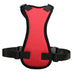 Car seat belts for pets - Minihomy