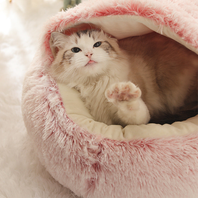 Plush Shell Nest Cat Litter: Keep Your Feline Friend Cozy in Winter