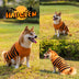 Halloween Dog Sweaters Pet Costume Teddy Warm Leisure Sweater - Minihomy