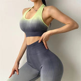 Two Piece Seamless Yoga Women's Gym Polyester Bodysuit