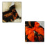 Halloween Small Dog Clothes Pet Dress Pumpkin Print Dress Chihuahua Yorkie Mesh Dress - Minihomy