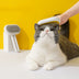 Cat And Dog Grooming Artifact Cat Comb To Remove Floating Hair - Minihomy