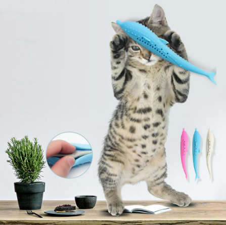 Cat Toothbrush Toy