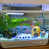 Pineapple House For Aquarium Fish Tank - Minihomy