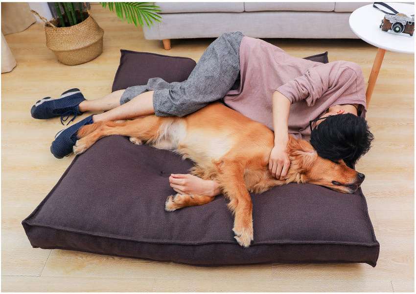 Pet Soft Warm Kennel Dog Mat Blanket Winter Pet Bed - Minihomy