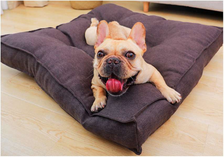 Pet Soft Warm Kennel Dog Mat Blanket Winter Pet Bed - Minihomy