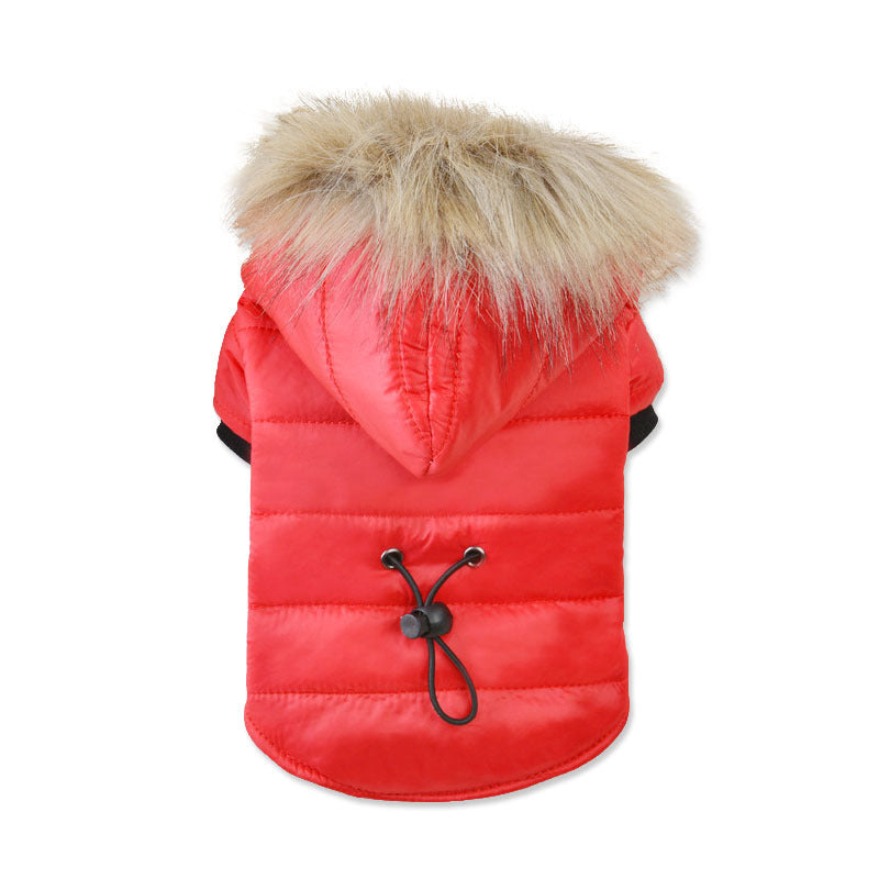 Parka Winter Jacket for little dog