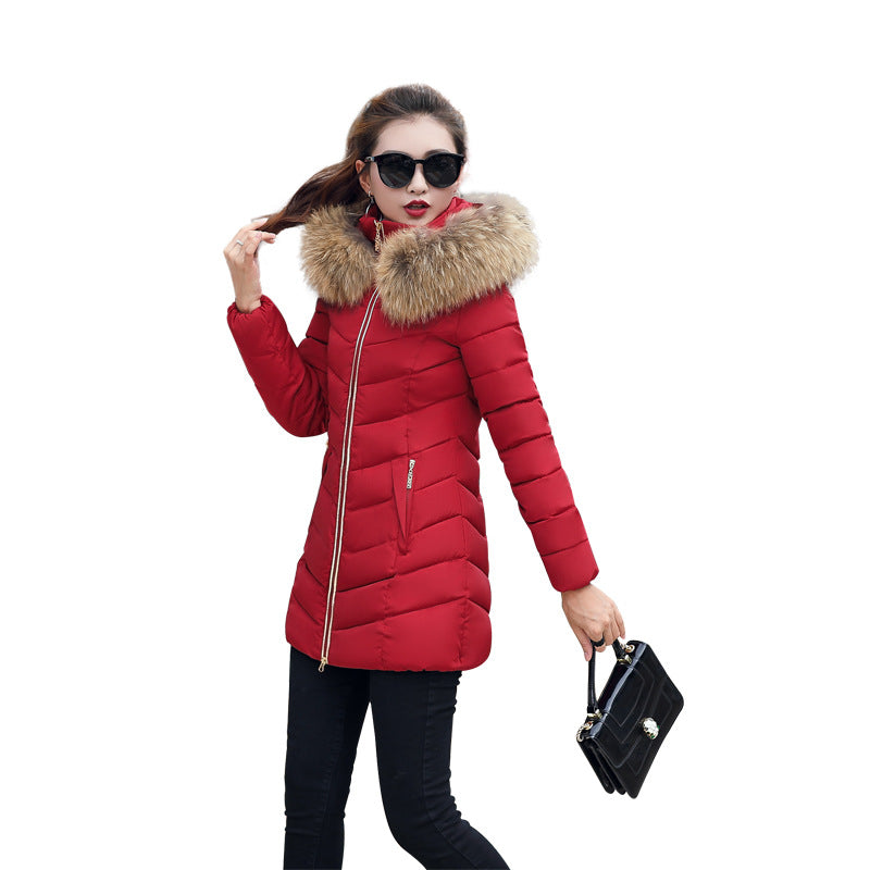 Mid-length Slim Cotton Jacket Large Fur Collar Down Jacket - Minihomy