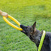 Pet Frisbee EVA Training Ring Puller - Minihomy