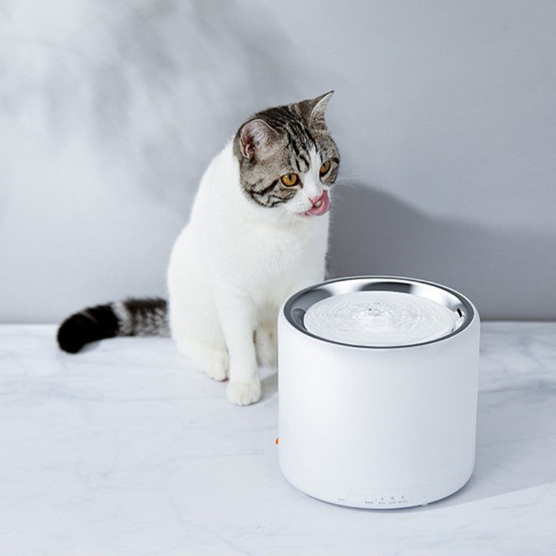 Pet water dispenser