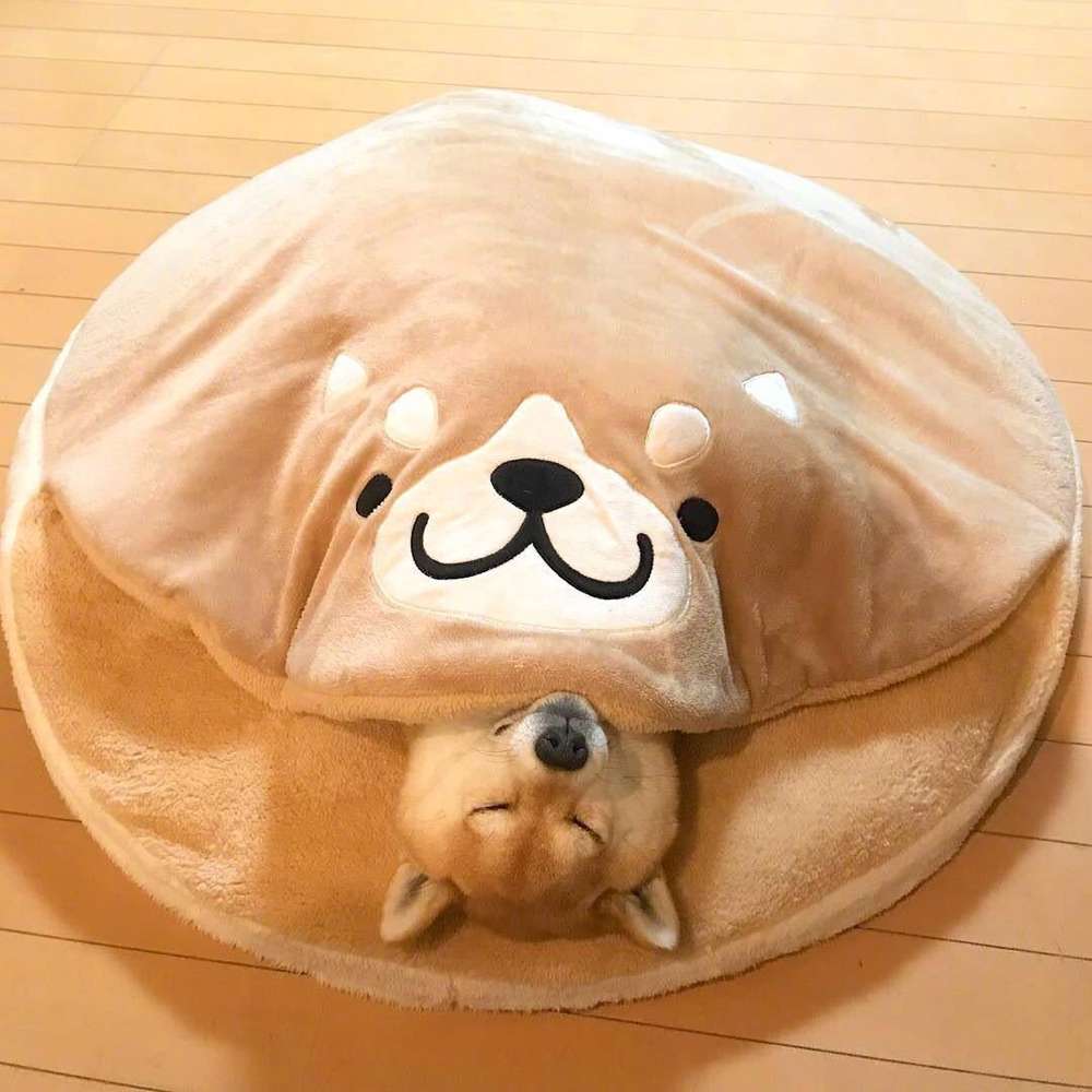 Doghouse Corgi Teddy Plush Dorayaki Sleeping Mat for Cats and Dogs - Minihomy