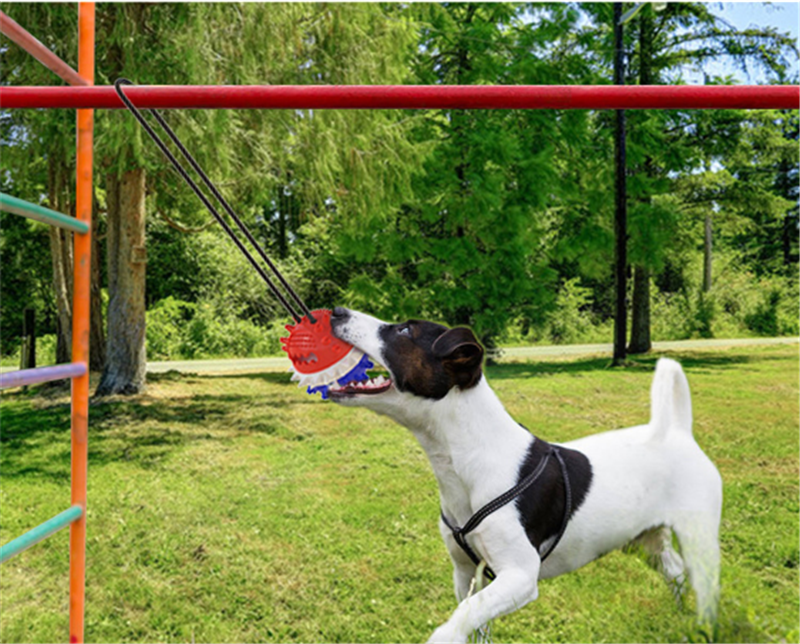 Dog Teething And Bite Resistant Outdoor Strong Draw Rope Ball - Minihomy