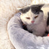 Pet Winter Deep Sleep Warm Round Nest Thick Plush Cat Nest