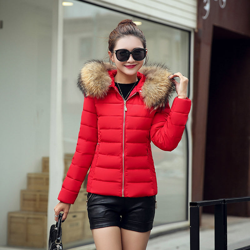 Slim cotton padded jacket and down jacket