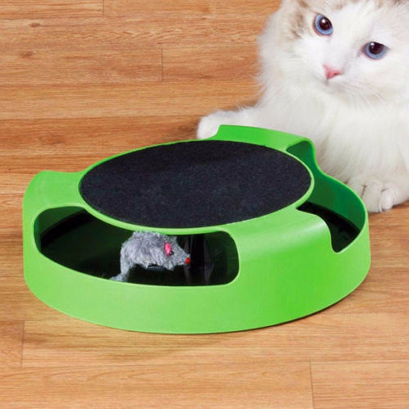 Cat Catch The Ultimate Cat Toy