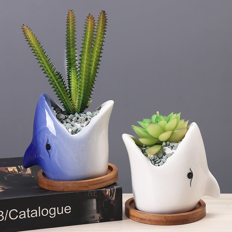 Succulent Pot Creative Cartoon Ceramic Flower Pots