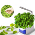 Multifunctional Intelligent Plant Growth Light - Minihomy