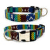 Canvas dog collar - Minihomy