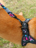 Colorful Dog Leash Dog Walking Rope Small And Medium-sized Dog Explosion-proof Dog Chain - Minihomy