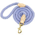 Creative One-to-two Double-headed Dog Walking Rope - Minihomy