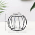 Metal Plant Holder Nordic Styles Iron Vases Ornament - Minihomy