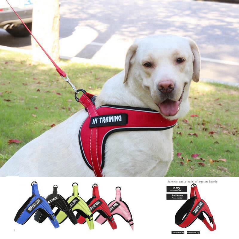 Custom Breathable Harness Vest for Dog with Reflective Strip and Metal Buckle - Minihomy