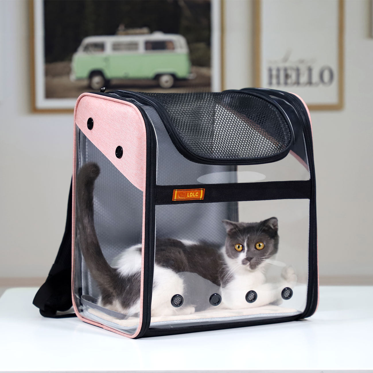 PVC Breathable Large Capacity Cat Carrying Space Capsule Cat Bag Portable Pet Dog Backpack Fold - Minihomy