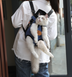 Portable cat backpack for spring outing - Minihomy