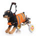 Pet Walking Dog Wheelchair Scooter - Minihomy