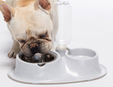 Stainless Automatic drinking bowl