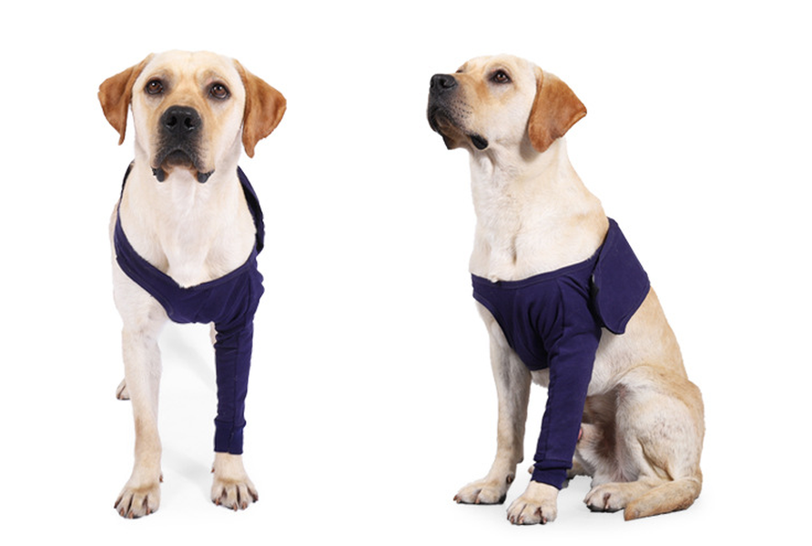 Anti-Licking Sleeve for Postoperative Recovery of Dog Legs - Pet - Minihomy