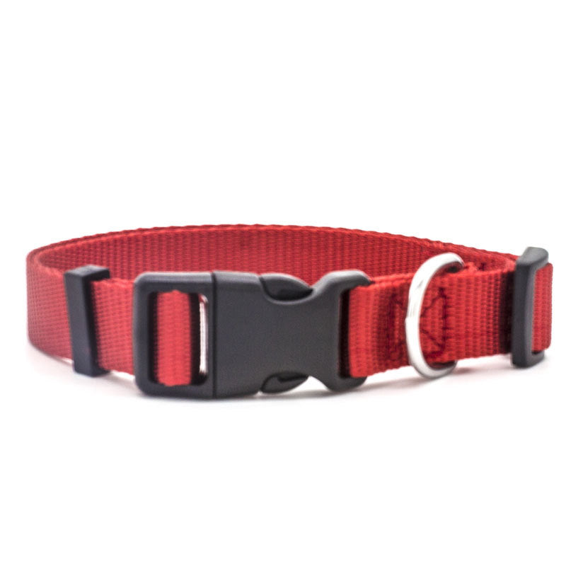 Soft Nylon Pet Collar: Comfortable and Durable