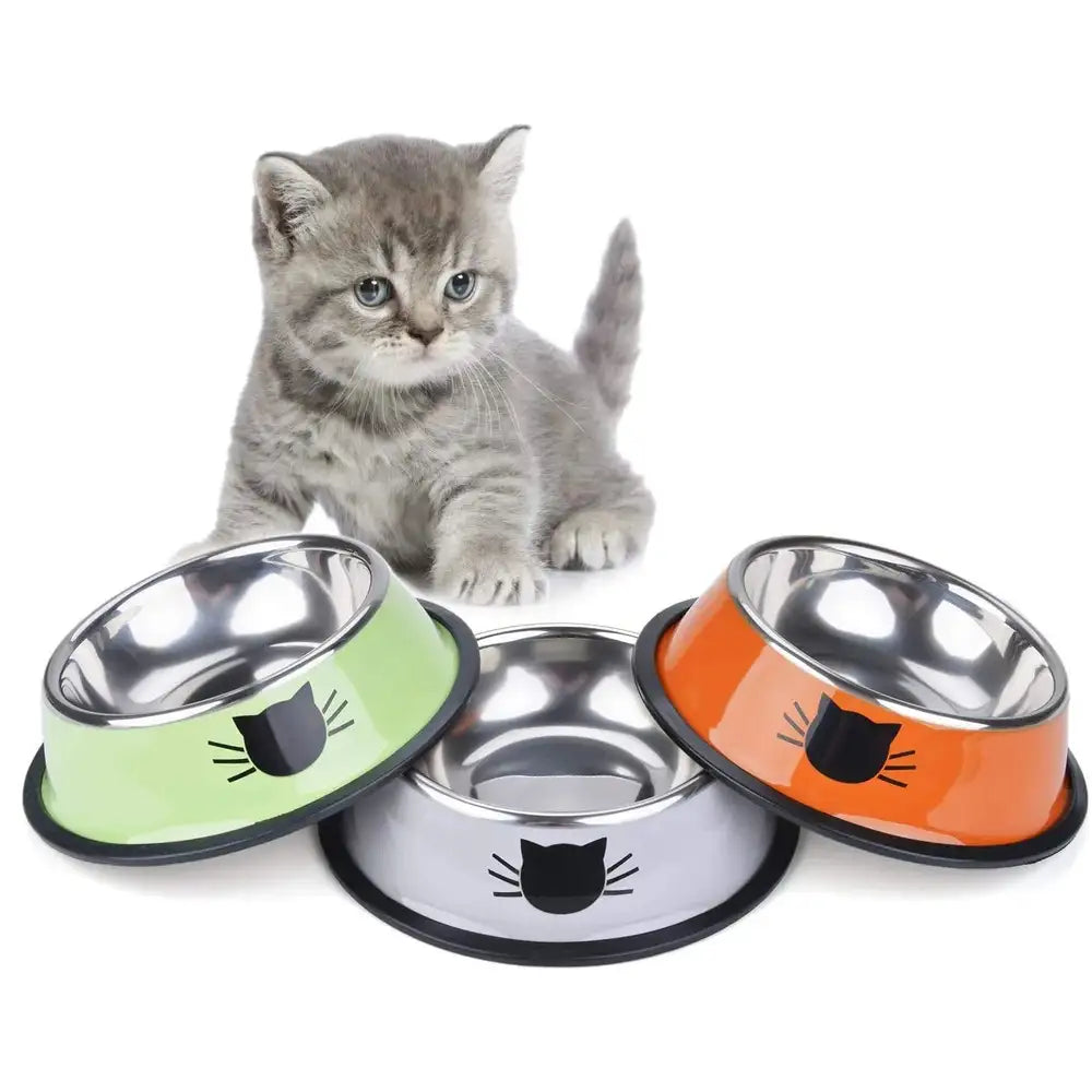 Color stainless steel pet cat bowl - Minihomy