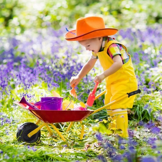 Outdoor Garden Backyard Play Toy Kids Metal Wheelbarrow-Red - Color: Red