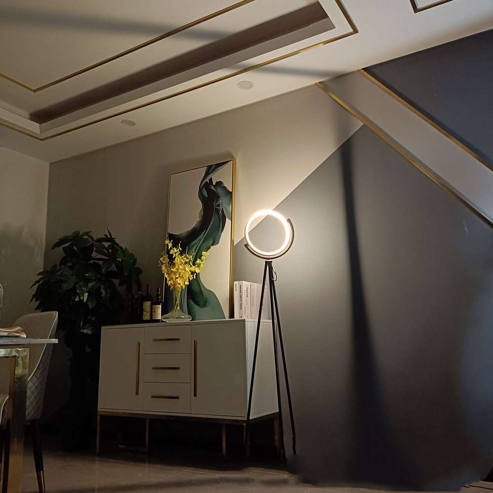 LED Light Supplementary Aluminum Floor Lamp Study Decorative Lamp - Minihomy