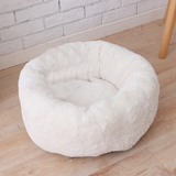 Pet Bed & Blanket