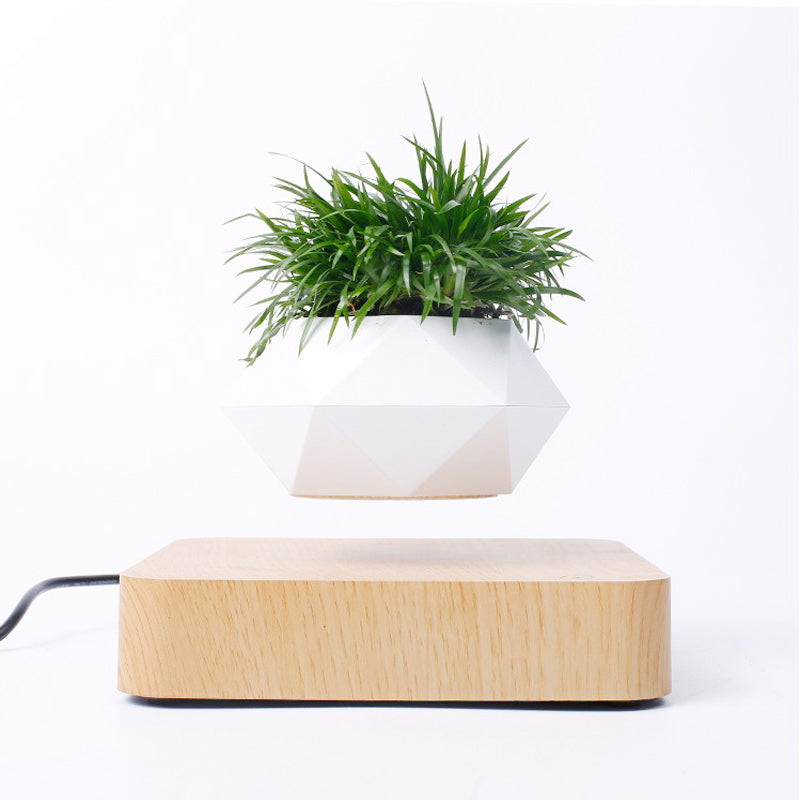 Magnetic Suspension Floating Pot Potted Plant Home Desk Decor - Minihomy